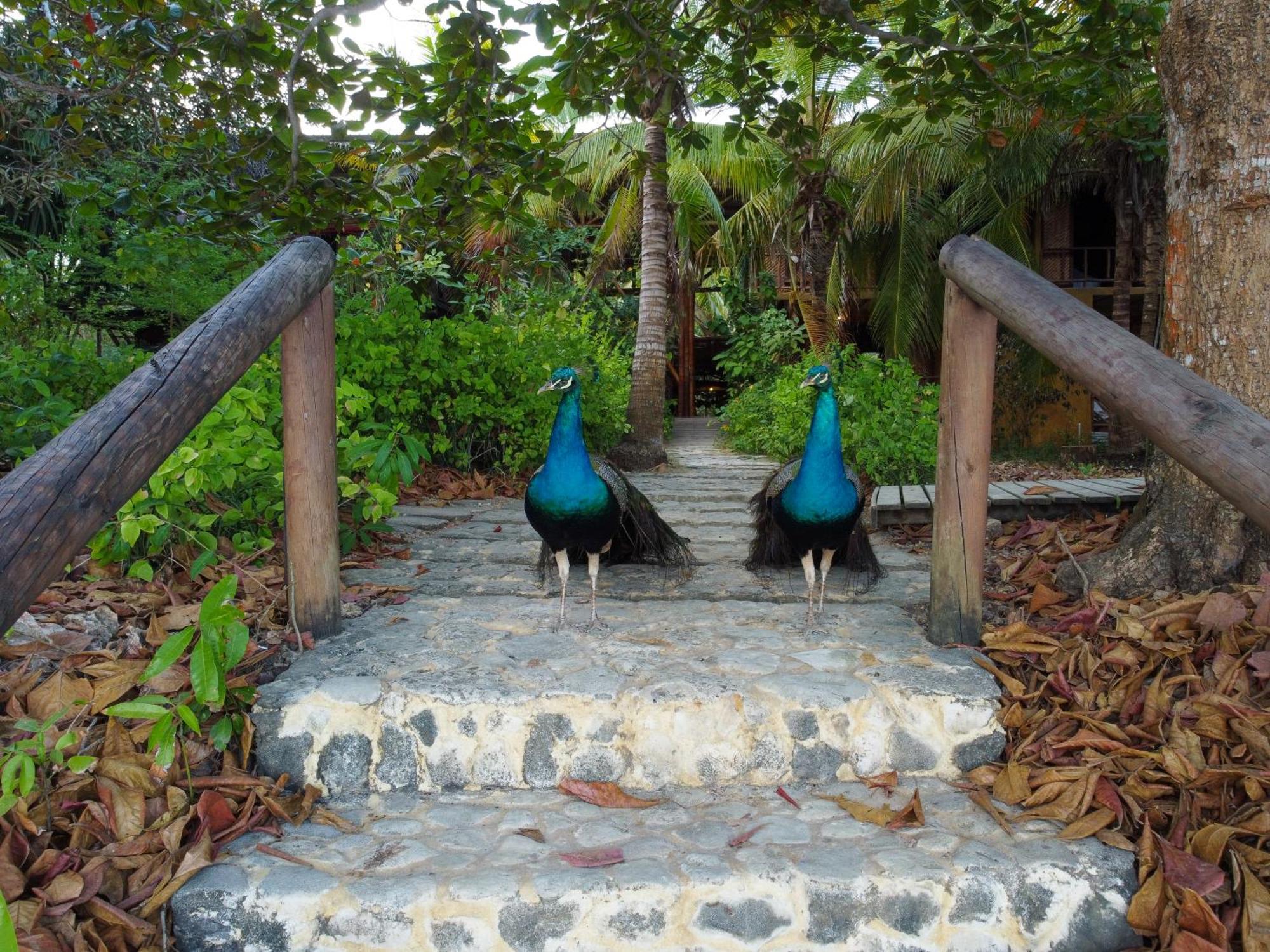 Isla Fuerte Eco House Villa Puerto Limon Buitenkant foto