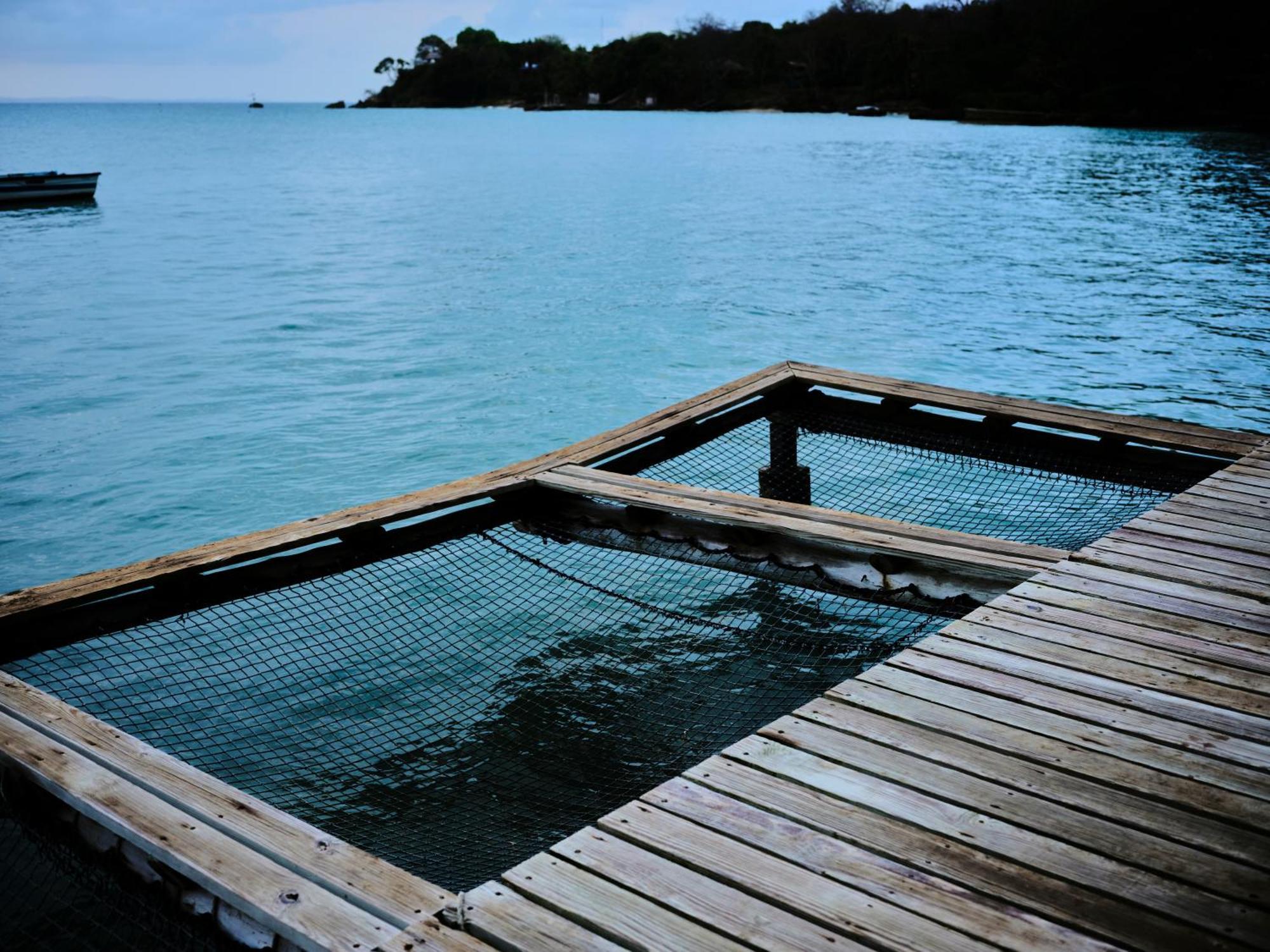 Isla Fuerte Eco House Villa Puerto Limon Buitenkant foto